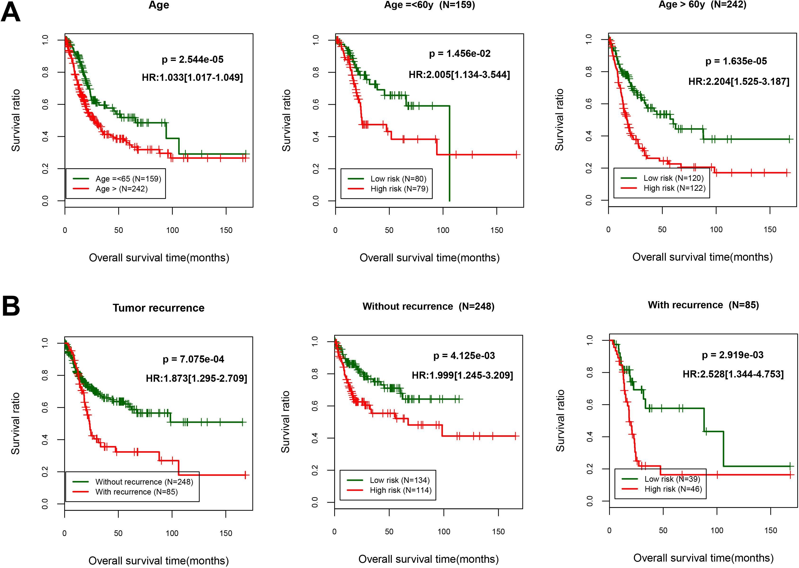 Overall survival was evaluated using Kaplan-Meier curves in line with age and recurrence-tiered low-risk and high-risk scores. (A) Age, age ⩾ 60 years, n= 159, age > 60 years, n= 242; (B) Tumor recurrence, without recurrence, n= 248, with recurrence, n= 85.