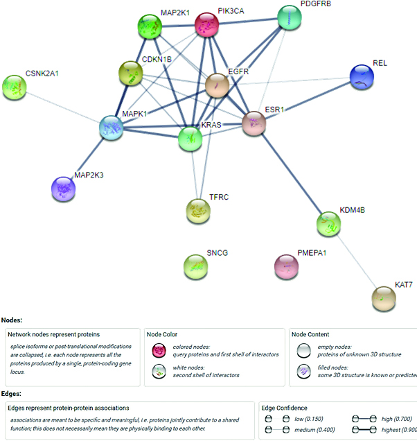 The PPI network of the target genes.