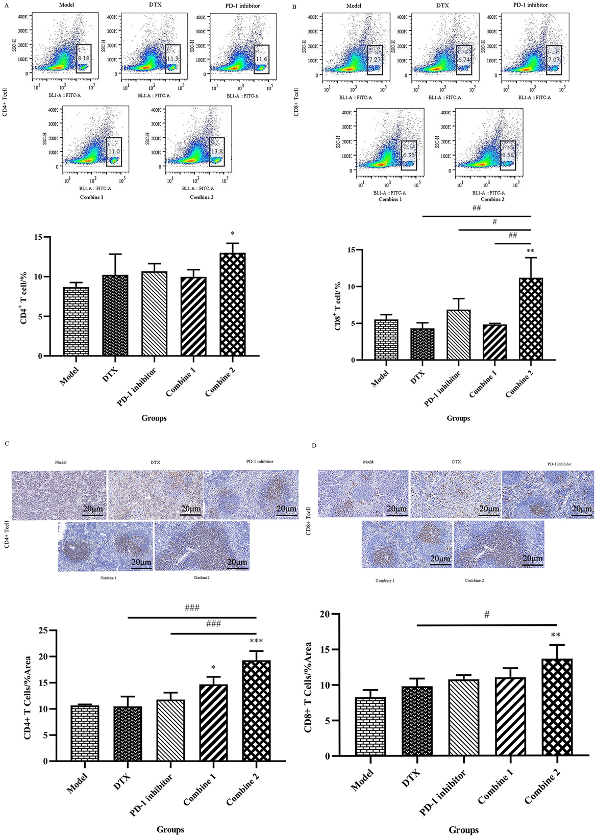 PD-1 inhibitor combined with Docetaxel enhanced the proportion of CD4+ and CD8+T cells in spleen. (A) Spleens were harvested after mice being sacrificed. The spleen tissue was then grind to a uniform splenocyte suspension with a 40 μm cell sieve, then the red blood cells were lysed with red blood cell lysate. After the single-cell suspension at a concentration of 1 × 106 cell/ml was prepared, Anti-Mouse CD4 FITC was added for reaction for 30 min, and then placed in flow cytometry for detection. All the data were presented as means ± SD (n= 3). *P< 0.05 (versus Model group, One-way ANOVA test followved by Tukey’s multiple comparisons test). (B) After the spleens were prepared as a single cell suspension at 1 × 106 cell/ml as described abcve, Anti-Mouse CD8a FITC were added for reaction for 30 min and then placed in flow cytometry for detection. All the data were presented as means ± SD (n= 3). **P< 0.01(versus Model group,One-way ANOVA test followed by Tukey’s multiple comparisons test). #P< 0.05; ##P< 0.01 (versus Combine 2 group, One-way ANOVA test followed by Tukey’s multiple comparisons test). (C) Spleens of other mice were removed and fixed with 4% paraformaldehyde for 24 hours. The fixed tissues were embedded in paraffin and cut into 4 μm thin sections on a paraffin microtome for immunohistochemical experiments. After dewaxing, antigen repair, blocking endogenolus peroxidase, serum sealing and CD4 antibody incubation, DAB chromogenic reaction, nucleus counterstaining, dehydration and mounting were performed. The prepared sections were examined under the microscope, and images were collected and analyzed by Image J.All the data were presented as means ± SD (n= 3). *P< 0.05; ***P< 0.001(versus Model group, One-way ANOVA test followed by Tukey’s multiple comparisons test). ####P< 0.01(versus Combine 2 group, One-way ANOVA test followed by Tukey’s multiple comparisons test). (D) Following the procedure described above, CD8 antibodies were added during antibody incubation. The preparedsections were examined under the microscope, and images were collected and analyzed by Image J.All the data were presented as means ± SD (n= 3). **P< 0.01(versus Model group, One-way ANOVA test followed by Tukey’s multiple comparisons test). #P< 0.05(versus Combine 2 group, One-way ANOVA test followed by Tukey’s multiple comparisons test).