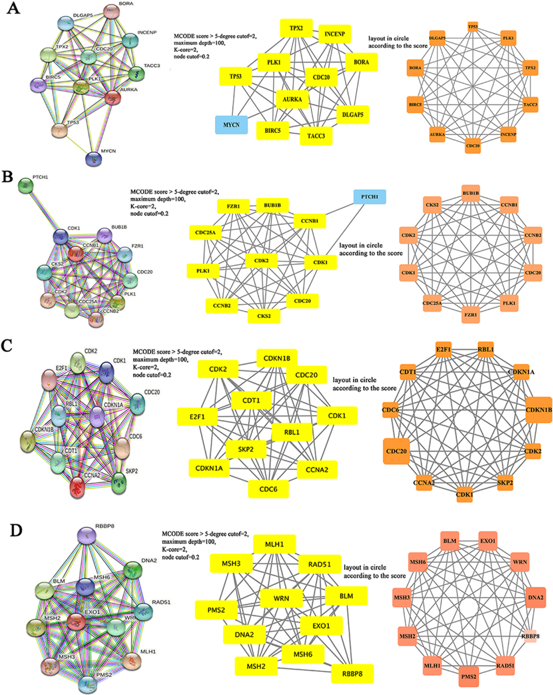 The PPI network of Hub genes in colorectal cancer. A–D, The PPI network diagrams of AURKA (A), CCNB1 (B), CCNA2 (C) and EXO1 (D) were structured by STRING tool.