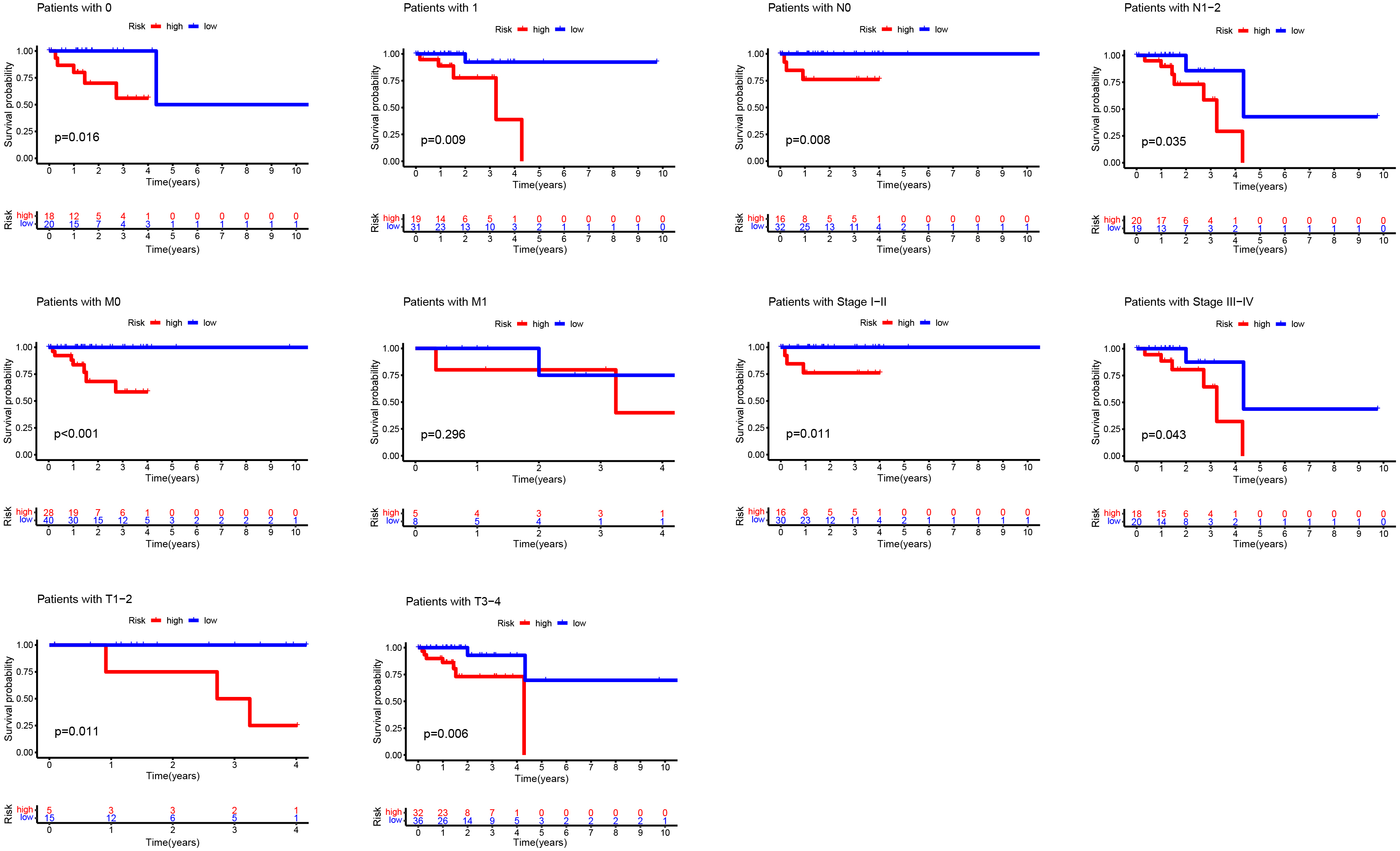 Kaplan-Meier curves of OS differences stratifified by gender, tumor grade, or TNM stage between the high- and low-risk groups in the TCGA entire set.