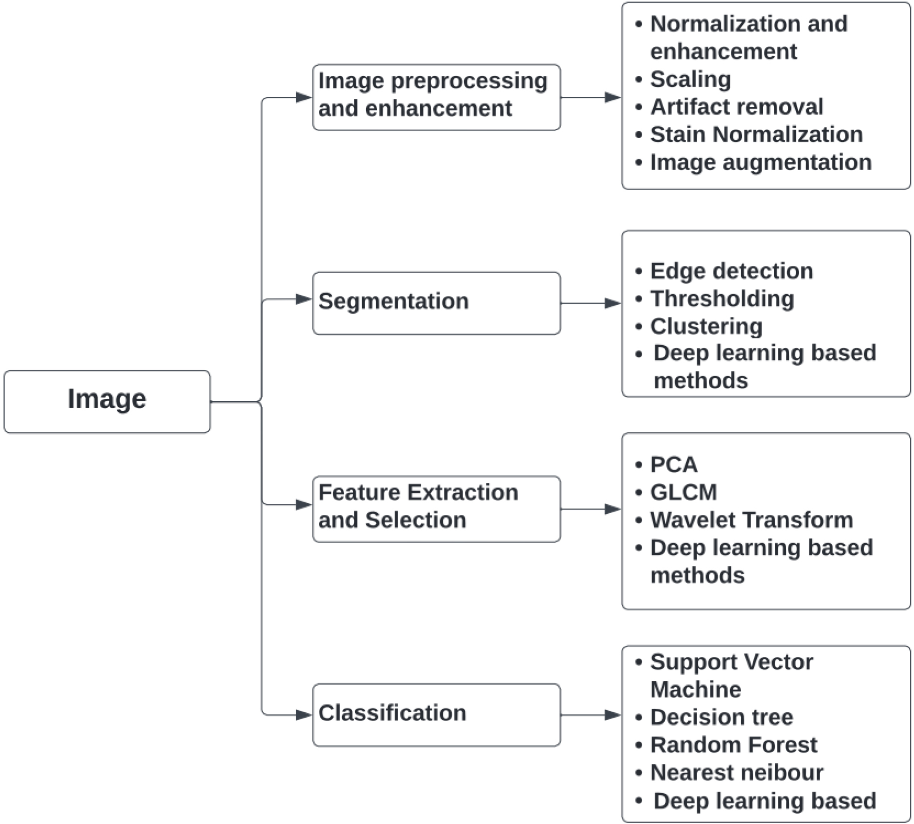 Overview of various image processing techniques used in the CAD of breast cancer detection.