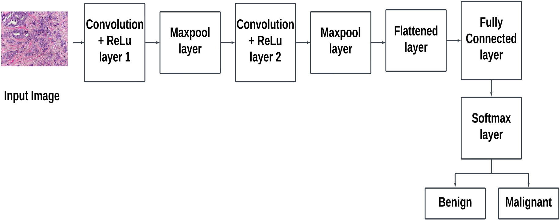Illustration of basic blocks in a convolutional neural network.
