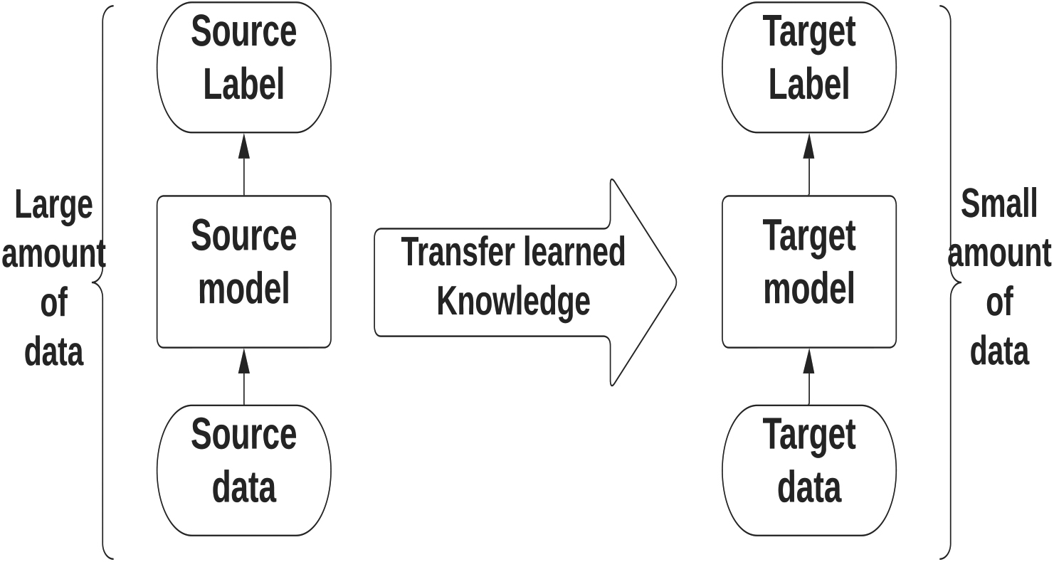 Schematic of transfer learning process.
