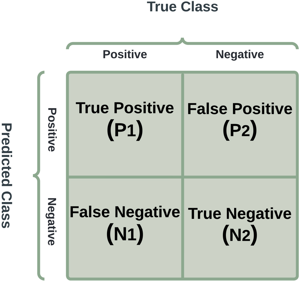 Schematic of a confusion matrix showing true positive (P1), true negative (N2), false positive (P2), and false negative (N1) cases.