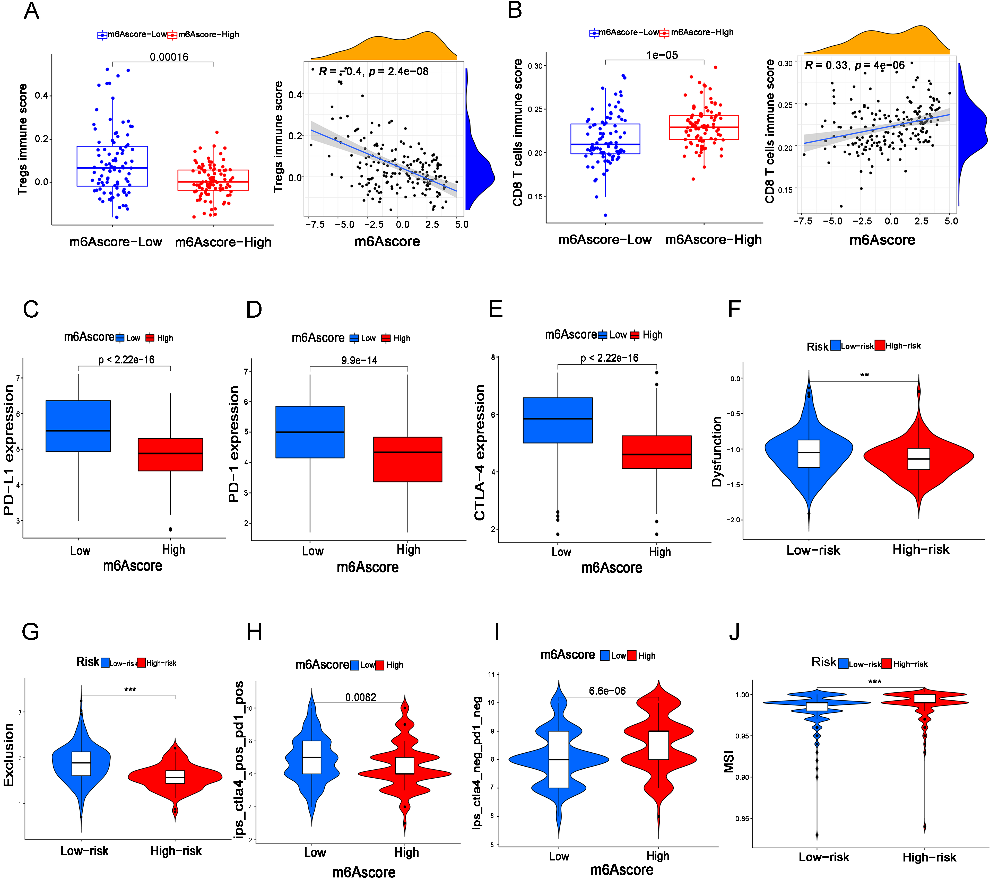 The LS group predicts a higher risk of immune escape in BC patients. (A, B) The immune score of Treg cells (A) and CD8+ T (B) cells in the m6A score groups and correlations between immune score and m6A score. (C–E) The expression of PD-L1, PD-1 and CTLA4 between the HS and LS groups. (F–I) The immune dysfunction score (F), immune exclusion score (G), PD-1 and PD-L1 immunotherapy effect score (H), and negative PD-1 and PD-L1 immunotherapy effect score (I) between the HS and LS groups. (J) The MSI status between the HS and LS groups.