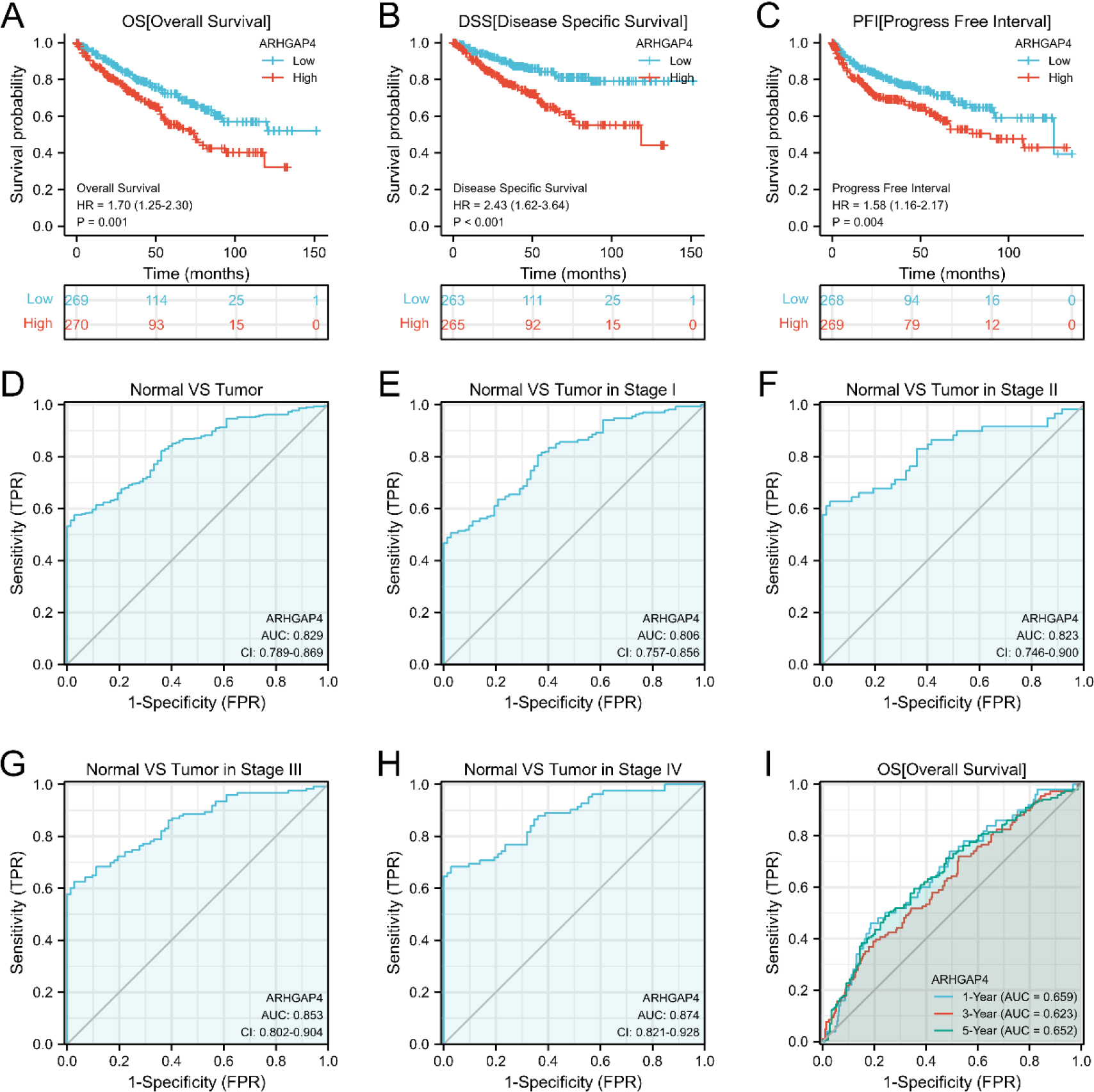 The value of ARHGAP4 in the diagnosis and prognosis of patients with KIRC. (A–C) The effects of ARHGAP4 expression on (A) overall survival time (OS), (B) disease-specific survival time (DSS) and (C) progression-free interval (PFI) of patients in the TCGA-KIRC dataset were analyzed by survival curve. (D) The diagnostic ROC curve of differentiating KIRC tissue from normal tissue by ARHGAP4 in the TCGA-KIRC dataset. (E–H) The ROC curves of ARHGAP4 in the TCGA-KIRC dataset differentiate normal tissues from KIRC tissues of different stages. (I) The time-dependent ROC curves of 1-, 3-and 5-year overall survival (OS) predicted by ARHGAP4 in the TCGA-KIRC dataset.