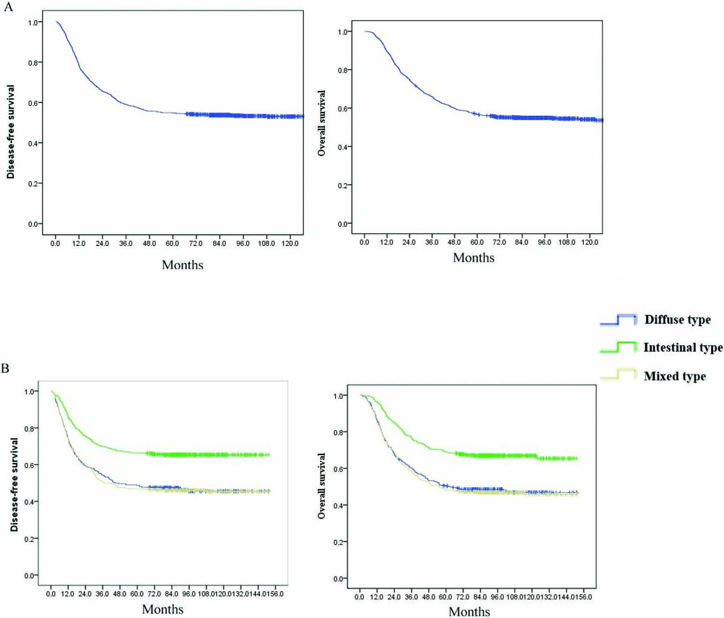 Overall survival (OS) and disease free survival (DFS) curves plotted by the Kaplan-Meier method for (A) 1144 GC patients (B) GC patients with Lauren classification, diffuse type, intestinal type, mixed type.