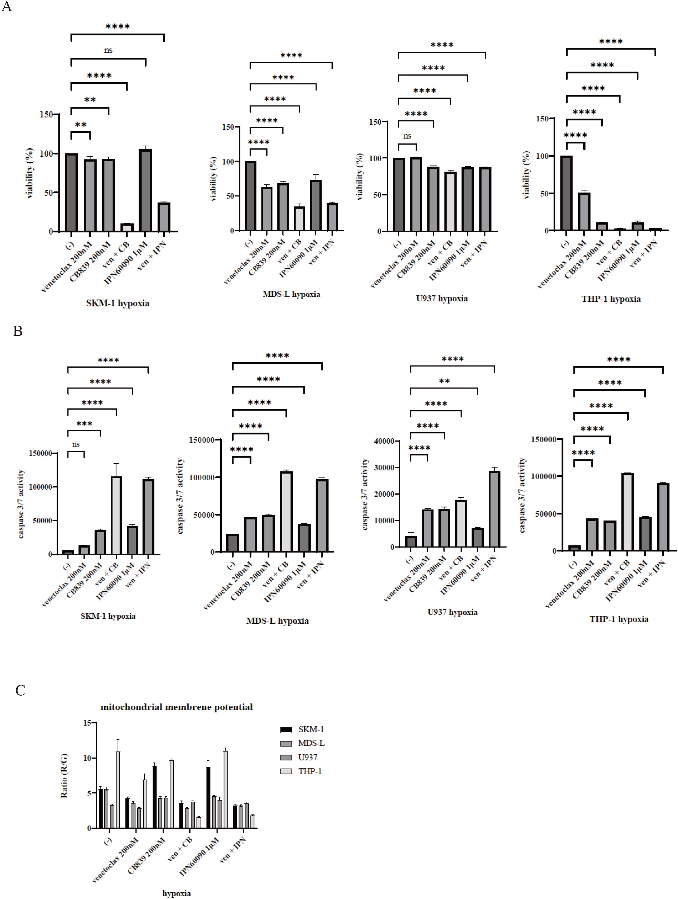 Co-treatment with venetoclax and CB839 or IPN60090 induced cytotoxicity in the MDS and AML cells. SKM-1, MDS-L, U937, and THP-1 cell lines were cultured with the indicated concentrations of venetoclax, CB839, or IPN60090 under hypoxic conditions for 48 h or 72 h. Cell proliferation (A) and caspase 3/7 activity (B) were analyzed. ** p< 0.01, *** p< 0.001, **** p< 0.0001 were compared to control. ns, not significant. (C) SKM-1, MDS-L, U937, and THP-1 cells were treated with the indicated concentrations of venetoclax and/or CB839 or IPN60090 under hypoxia for 48 or 72 h. MMP was analyzed using a mitochondrial staining kit.