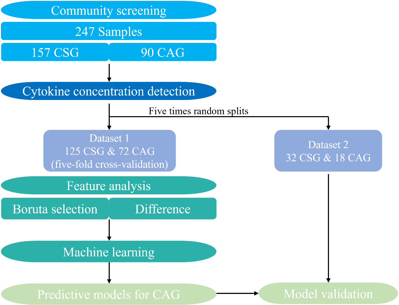 Schematic showing the details of the ML-based biomarker discovery pipeline following the serum cytokine measurements.