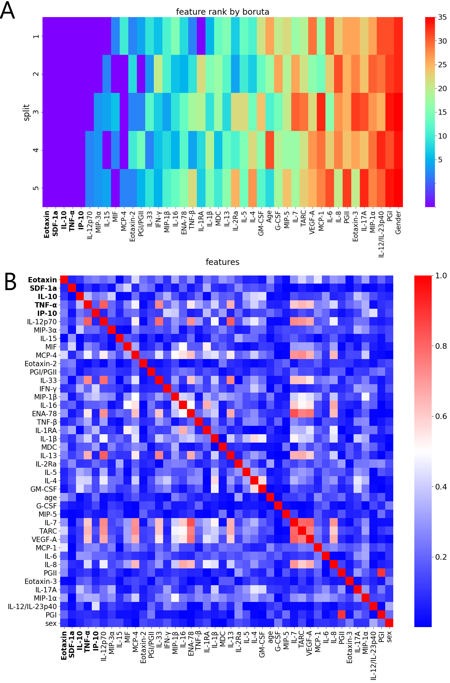 Feature importance and correlation analysis. (A). Heatmap of feature importance based on the Boruta feature selection method (scores range from 1 to 35), performed five independent times through five random splits of the data. Showing the results for 37 cytokines, Gender, Age, PGI, PGII, and PGI/PGII ratio. The five cytokines with the highest ranking are displayed in bold. (B). Heatmap of absolute values of Pearson correlation coefficients of features among samples. The five selected features show low correlation with each other.