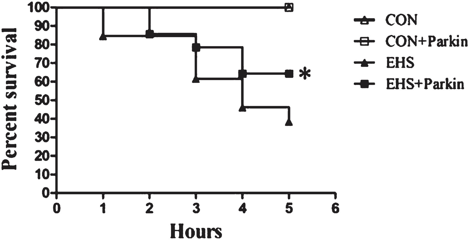 The over-expression of Parkin increases the survival rate of EHS rats (n = 15).
