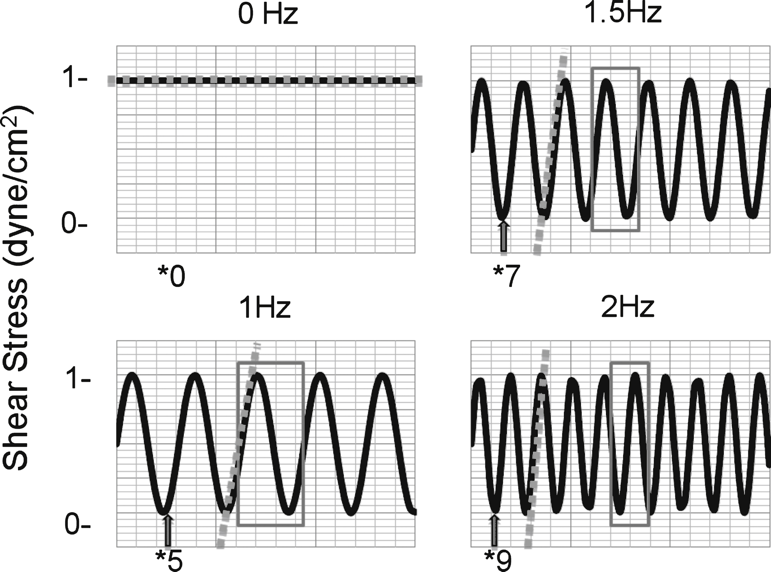 Sample waveforms at maximum amplitude of 1 dyne/cm2. Each cycle is shown within the boxed region. The length of each cycle decreases with increasing frequency. During non-pulsatile flow, a constant pressure is applied to the interface to maintain a user-defined shear, 1 dyne/cm2. To establish pulsatile flow pressure oscillates from 0 to the pressure required to establish 1 dyne/cm2. The grey arrows represent the low shear period of the oscillatory cycle, where we propose many adhesive interactions take place. The number below represents the amount of these low shear periods that occur during the same period. The dashed grey lines represent the slope of the linear region of each oscillation. The slope increases as the frequency increases.