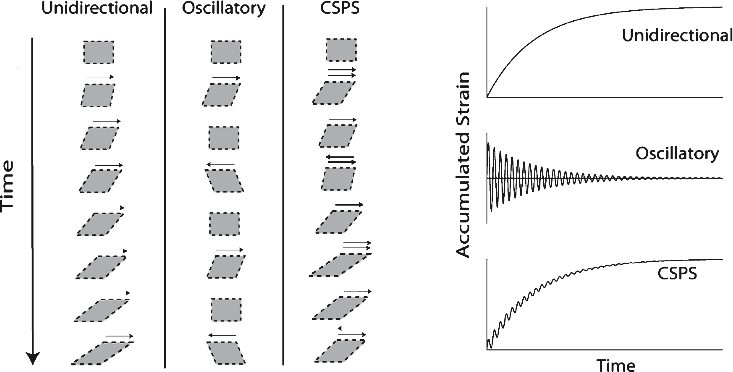 Illustration of CSPS. The technique is used to apply combined unidirectional and oscillatory shear stresses (σs and σo, respectively), the direction of the two resulting shear motions (i.e. the unidirectional and oscillatory components) being parallel (see Fig. 1(i)). The net accumulated unidirectional strain is zero under SAOS whereas it increases progressively in CSPS (Fig. 1(ii)). The SAOS strain decreases progressively in blood as the GP is approached. CSPS involves a time-varying shear rate under constant stress due to rheological changes associated with clotting. The unidirectional flow shear rate becomes vanishingly small in the vicinity of the GP.