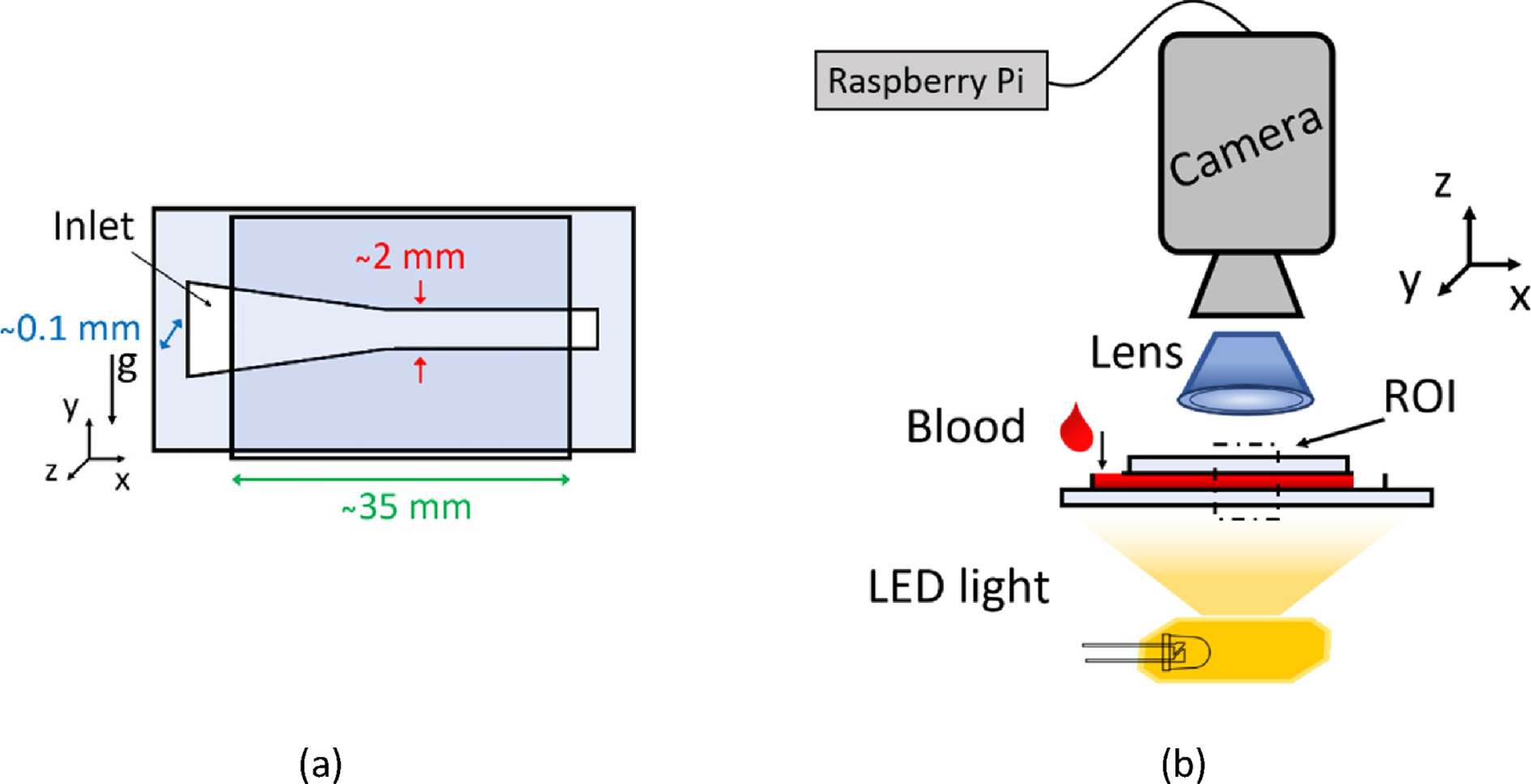 (a) Schematic of the microfluidic chip. The erythrocyte sedimentation is captured along the y-axis (direction of gravity). (b) Schematic of the experimental set-up for monitoring and measuring ESR. The flow of blood through the microfluidic chip is surface tension driven.