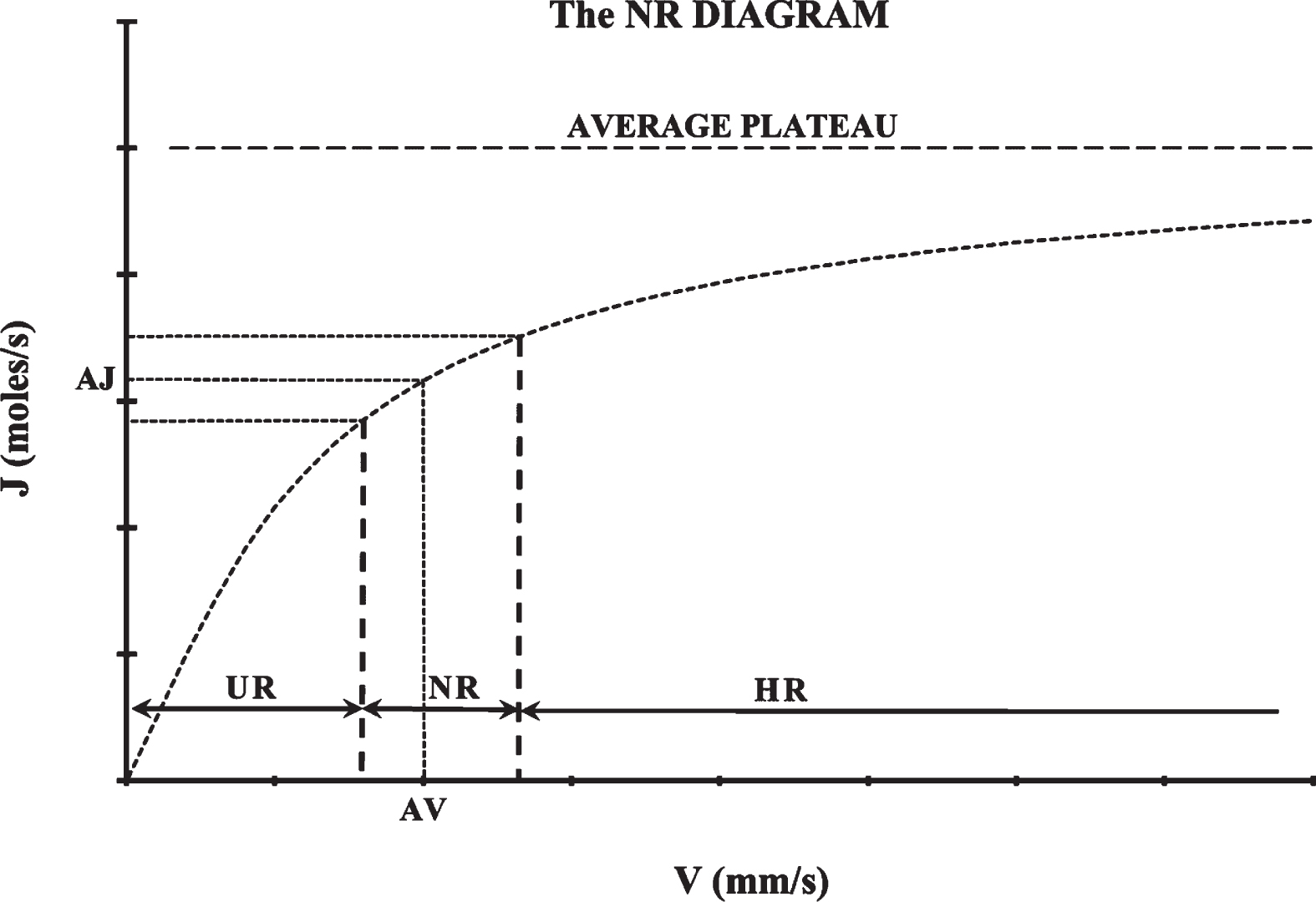 The normative range (NR) diagram. After measuring axial velocities at many microvessels with the same diameter, an average axial velocity (AV) can be estimated statistically which corresponds to an average mass diffusion rate (AJ). After measuring axial velocities at many persons, a normative range (NR) can be determined statistically comprising average axial velocity values of normal, equilibrium resting conditions. UR stands for “Underemic Range” and is the range of average axial velocities corresponding to underemic conditions. HR stands for “Hyperemic Range” and is the range of average axial velocities corresponding to hyperemic conditions.