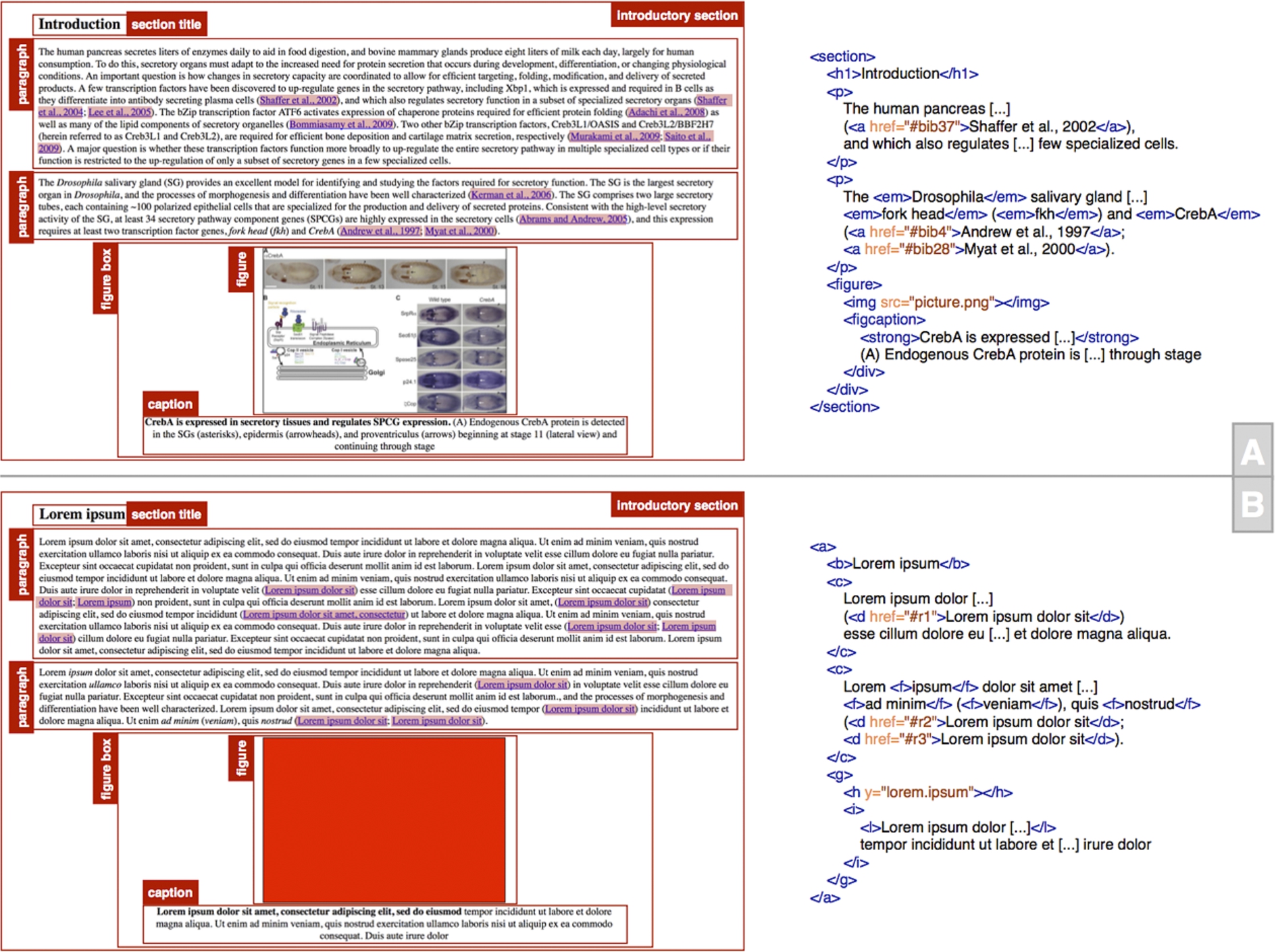 The partial HTML version of a portion of the article entitled “The CrebA/Creb3-like transcription factors are major and direct regulators of secretory capacity” [14] [top panel (A)], and the same containment structure [bottom panel (B)] stored according to a fictional XML-based language, where no meaningful textual or visual content is explicit. The empty boxes with a red border, the blue-underlined strings, as well as the italic and strong strings, describe the various parts of the article. The pink rectangles delimit in-text reference pointers to some bibliographic references, while the meaning of the other parts is defined by means of the red labels with white text.