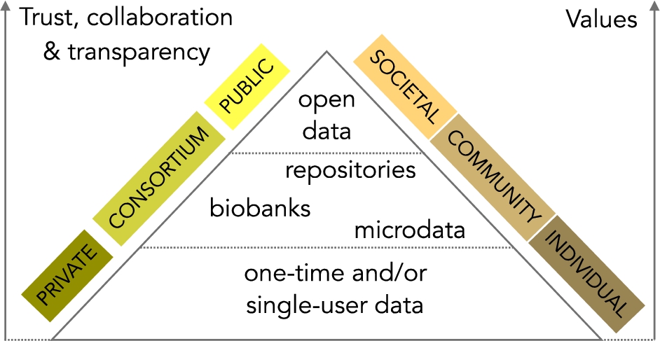 The hierarchical value of health and health-related data.