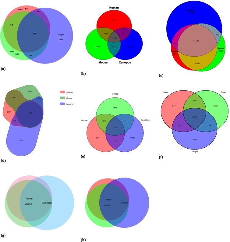 Venn diagrams created by each of the R packages: a) BioVenn, b) colorfulVennPlot, c) eulerr, d) nVennR, e) venn, f) VennDiagram, g) venneuler and h) vennplot.