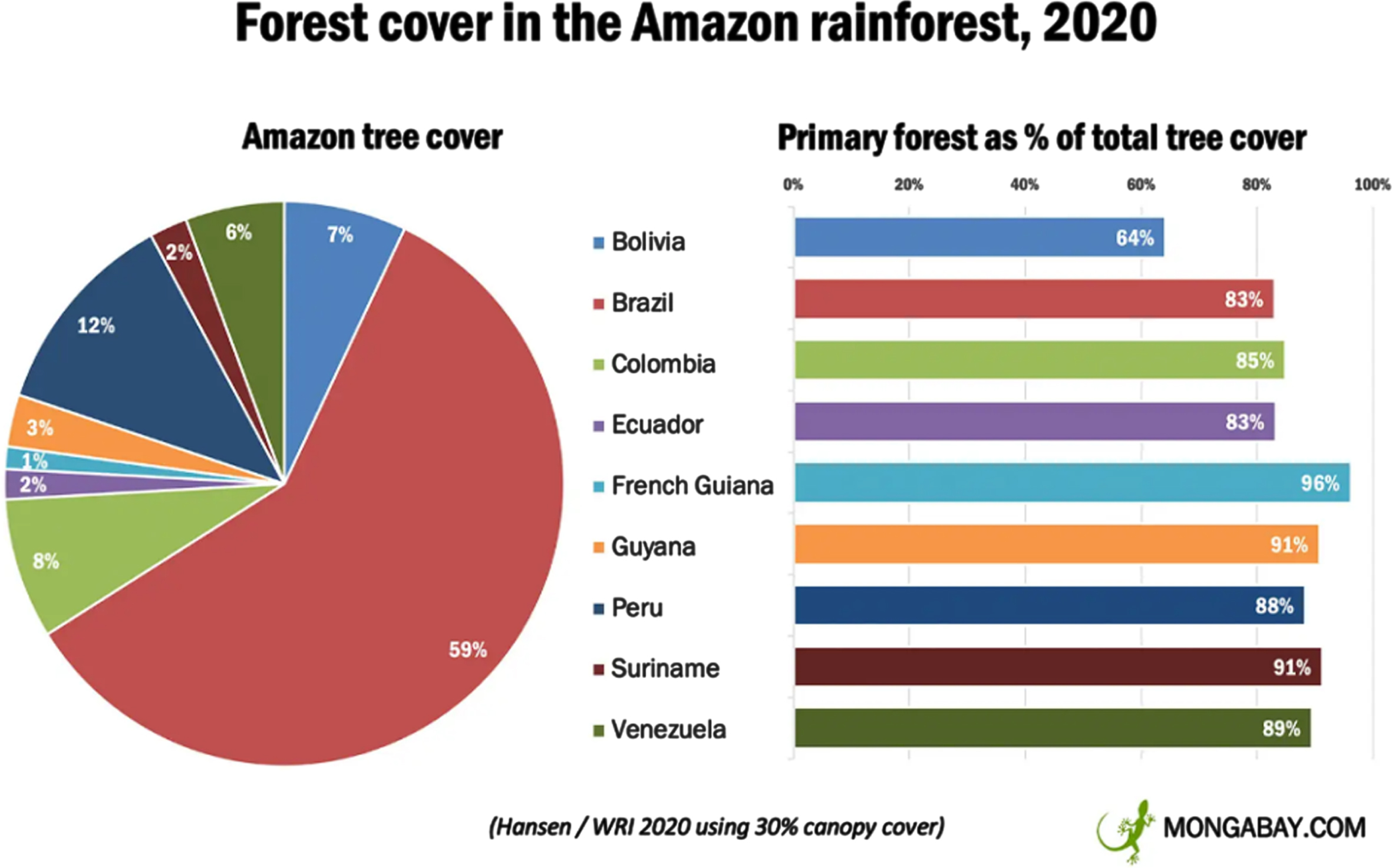 (Source: https://rainforests.mongabay.com/amazon/).