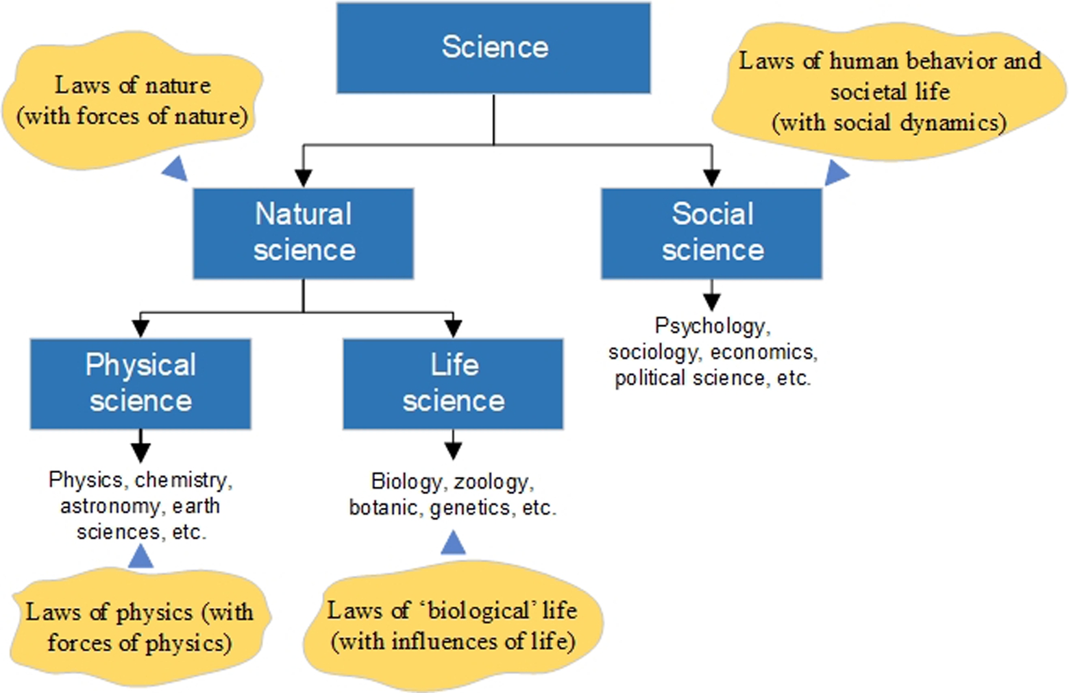 The branches of science, and the set of governing laws and influences associated with each branch.