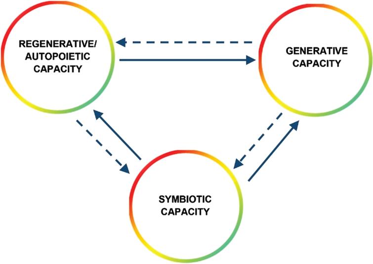 The three principles for organizing systemic complementarities in the symbiotic heritage circular ecosystems.