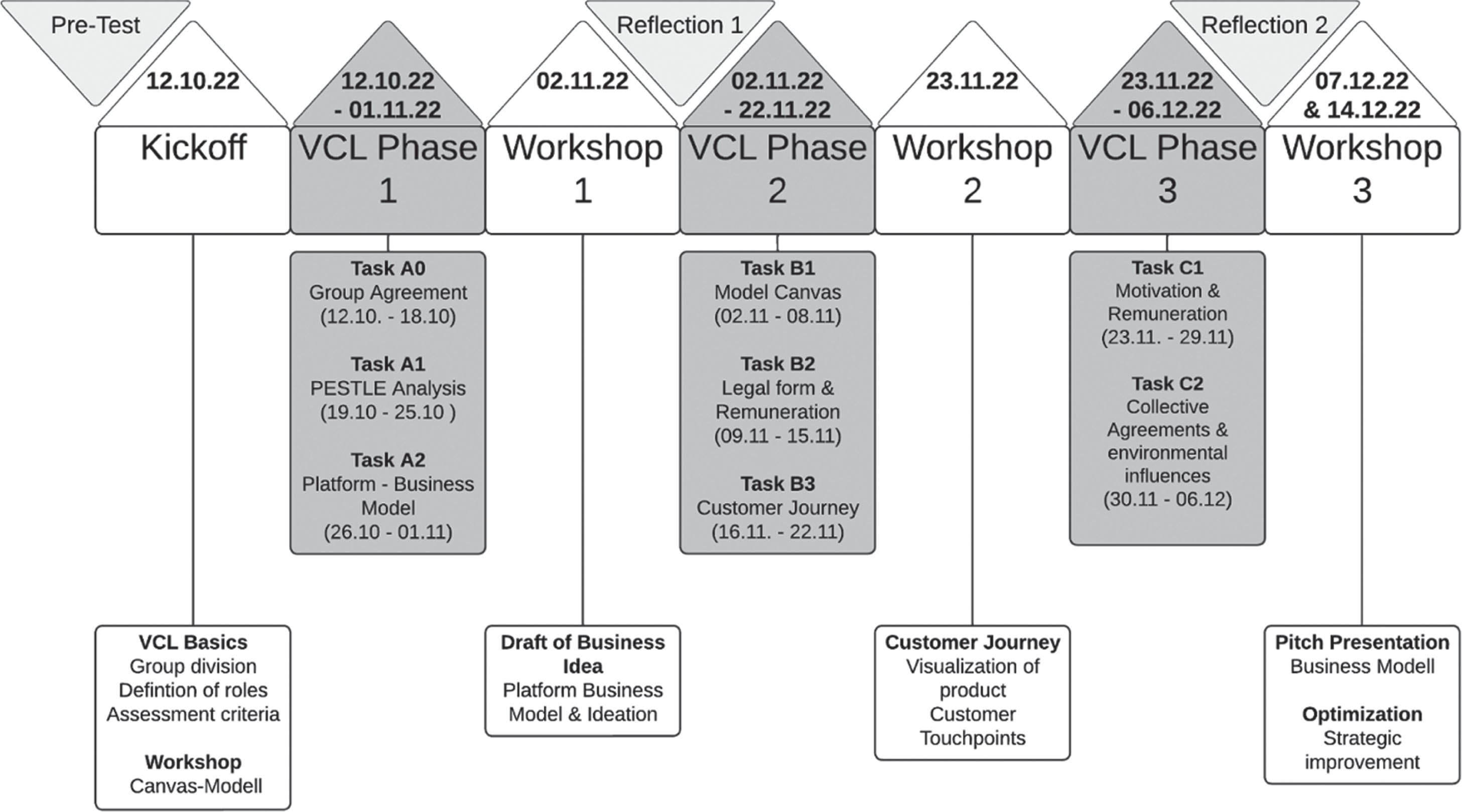 Timeline and survey timepoints of the module (authors’ own illustration).