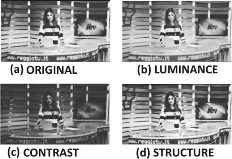 Comparative visualization of the SSIM metrics: Original, Luminance, Contrast, and Structure.