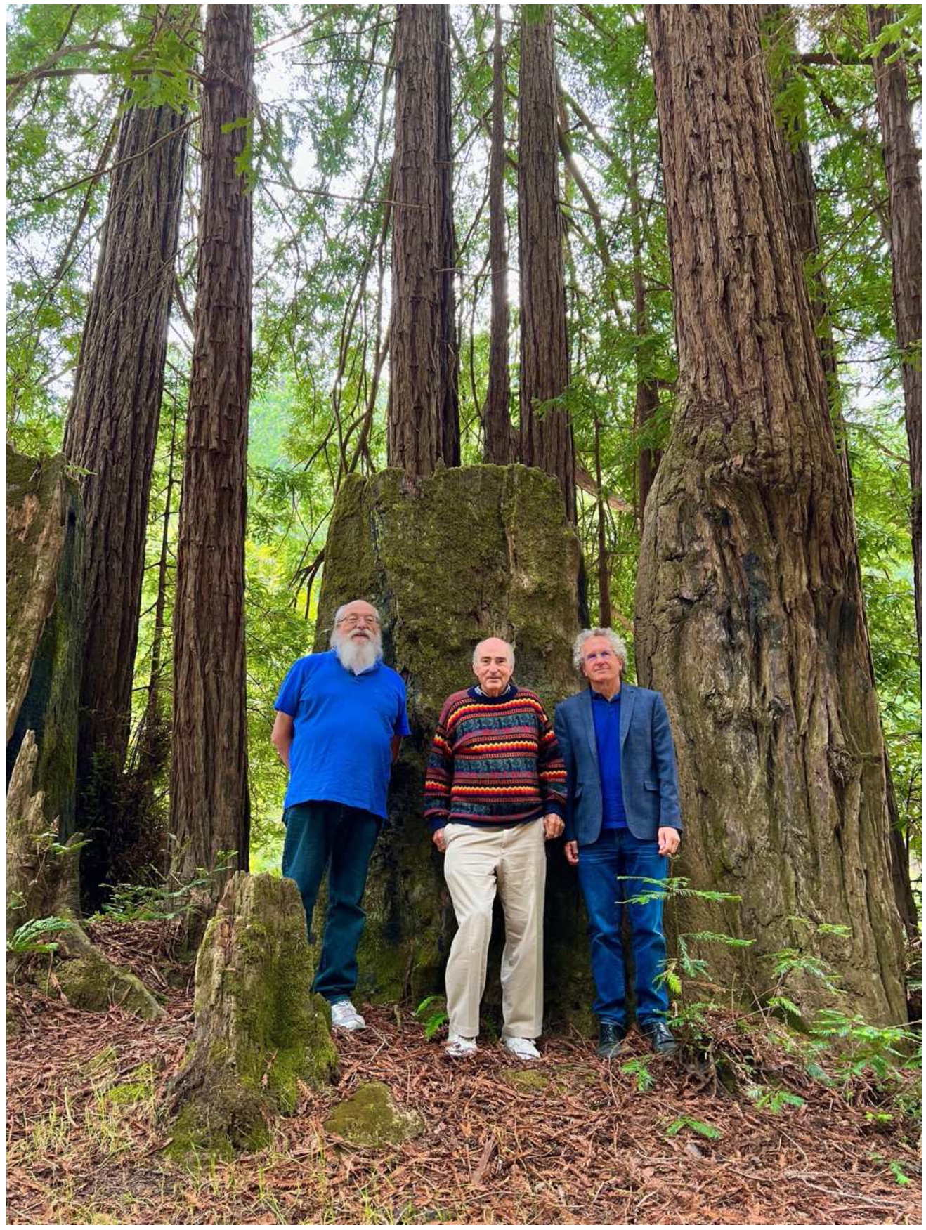 Today – searching for big trees. Left to right: Ken Thompson, Monty Newborn, and Jonathan Schaeffer. Gualala River Redwood Park, June 2022. Photo taken by Jennifer Schaeffer.