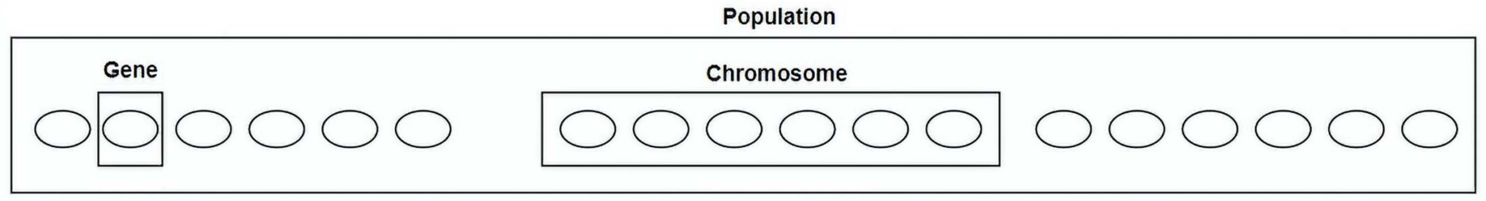 An example of a simple population composed of three chromosomes, each consisting of six genes.