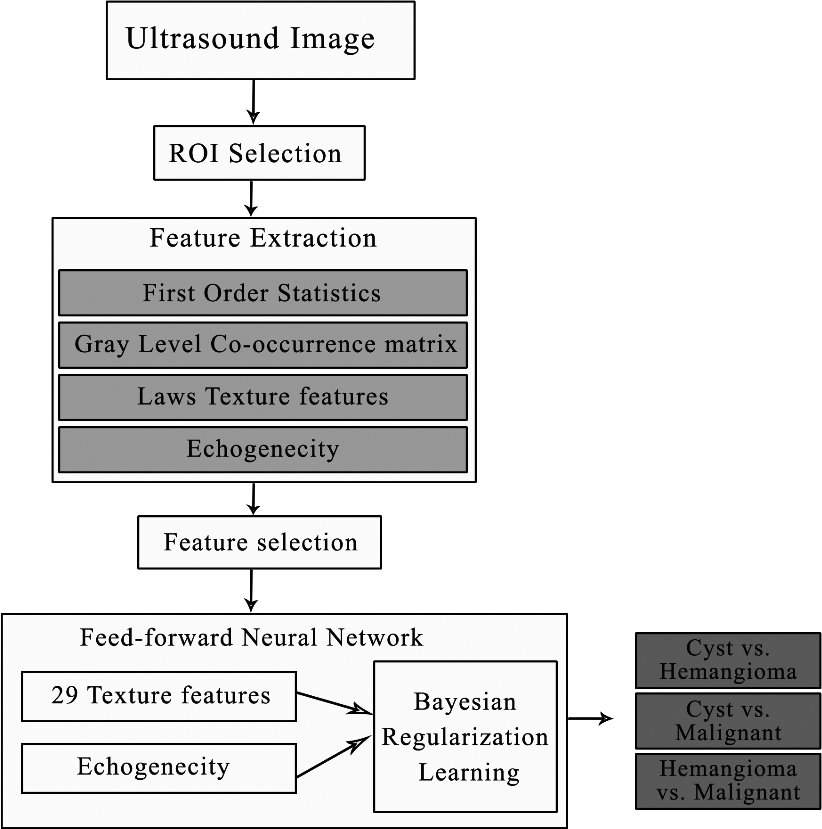 Flow chart of the proposed algorithm [19] for the classification of focal liver lesions.