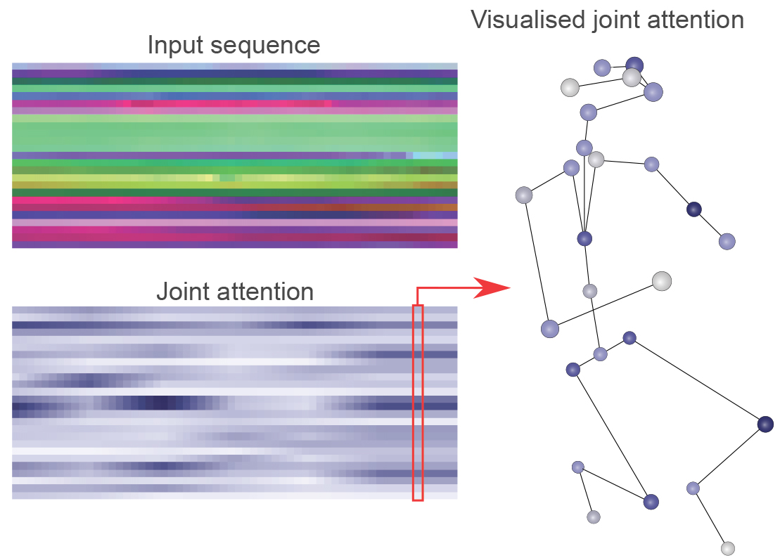 Attention visualisation: Switching position. The input skeleton sequence of one of the participant switching from a standing to a kneeling position, the joint attention produced from the attention matrix from the pose estimation model, and a skeleton visualisation of the joint attentions for one time frame. Darker colour indicates stronger attention.