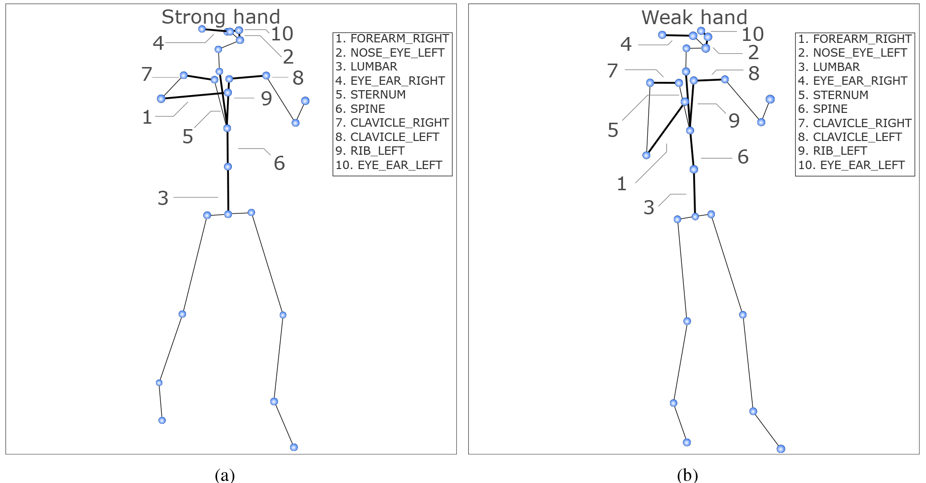 Strong and weak hand comparison. Shows a comparison of one of the participants in the act of firing their weapon with their (a) strong hand and (b) weak hand. Highlighted are the top 10 bones from the overall attention statistics for the shooting hand task (Table 6). Note that all left-handed samples were swapped to a right-handed orientation.