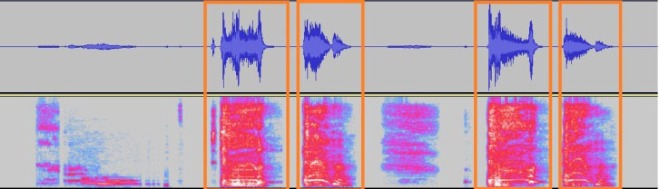 A sample audio file split into 1 s segments with silence removed. The corresponding spectrograms are passed to the neural network.