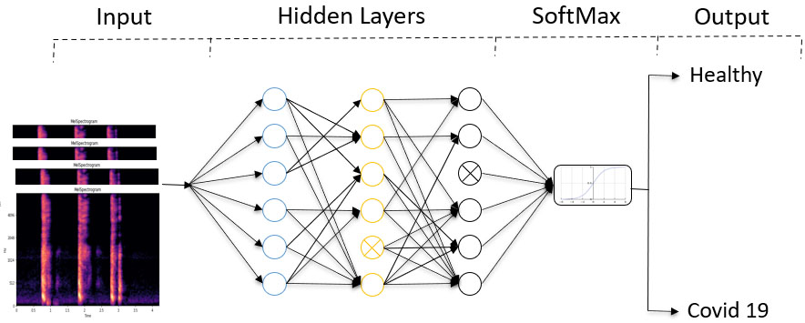 A figure depicting a pruned neural network using the Lottery Ticket Hypothesis.