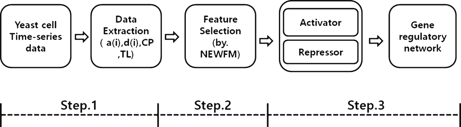 Overview of the proposed process with NEWFM.
