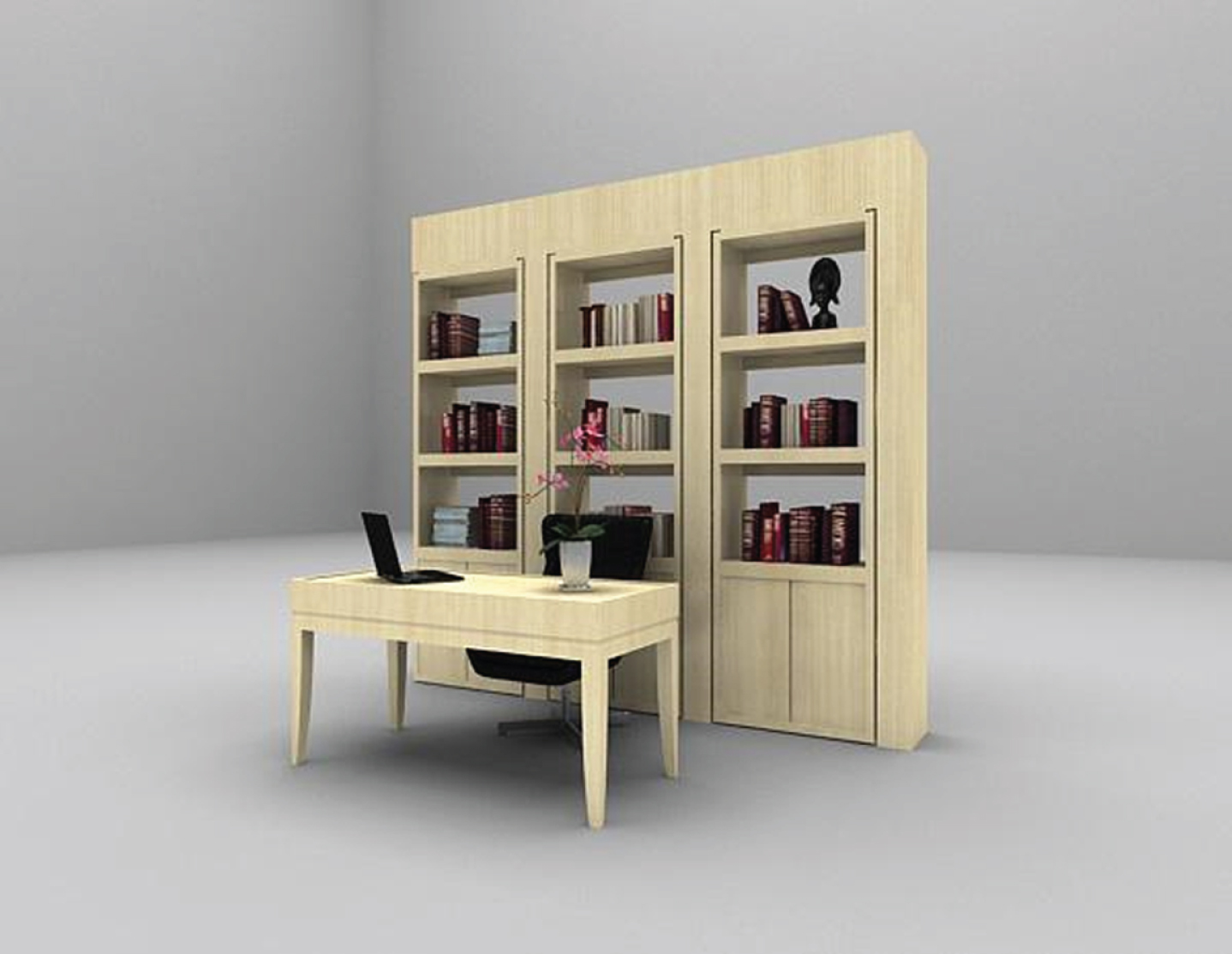 The bookcase model.
