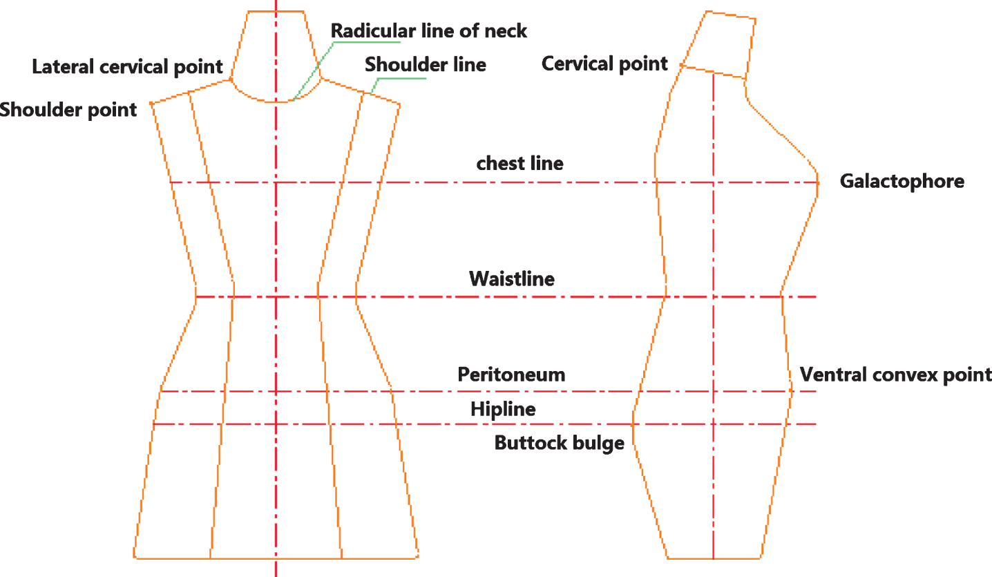 Datum point and datum line map of human body surface.