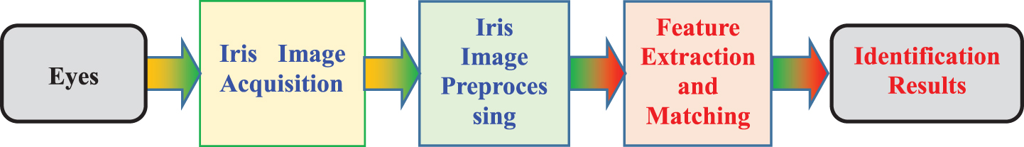 Basic process of iris recognition.