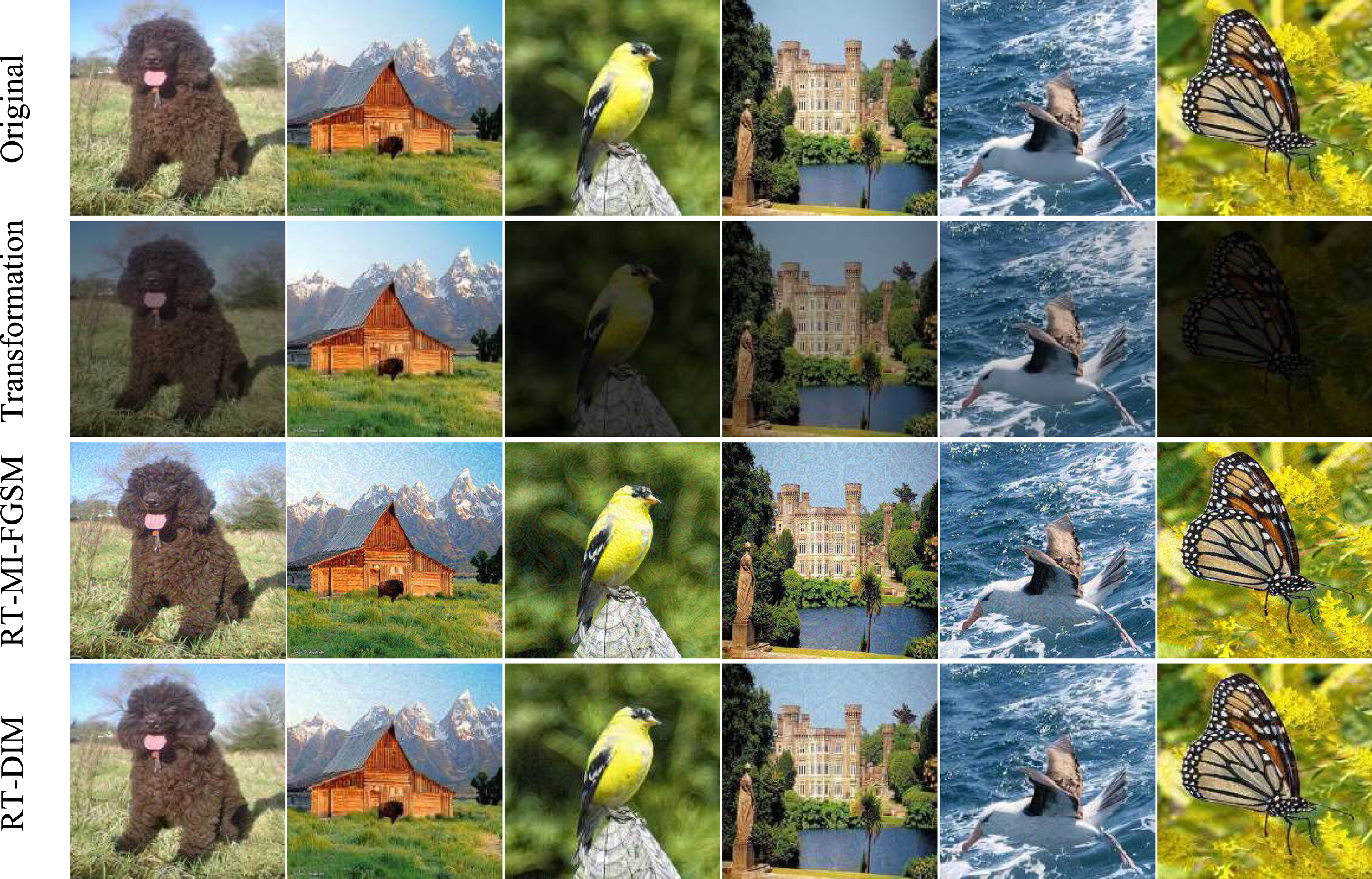 The adversarial examples are crafted on Inc-v3 by RT-MI-FGSM and RT-DIM method respectively. Images from first to third line are original inputs, randomly transformed images, and generated adversarial examples, respectively.