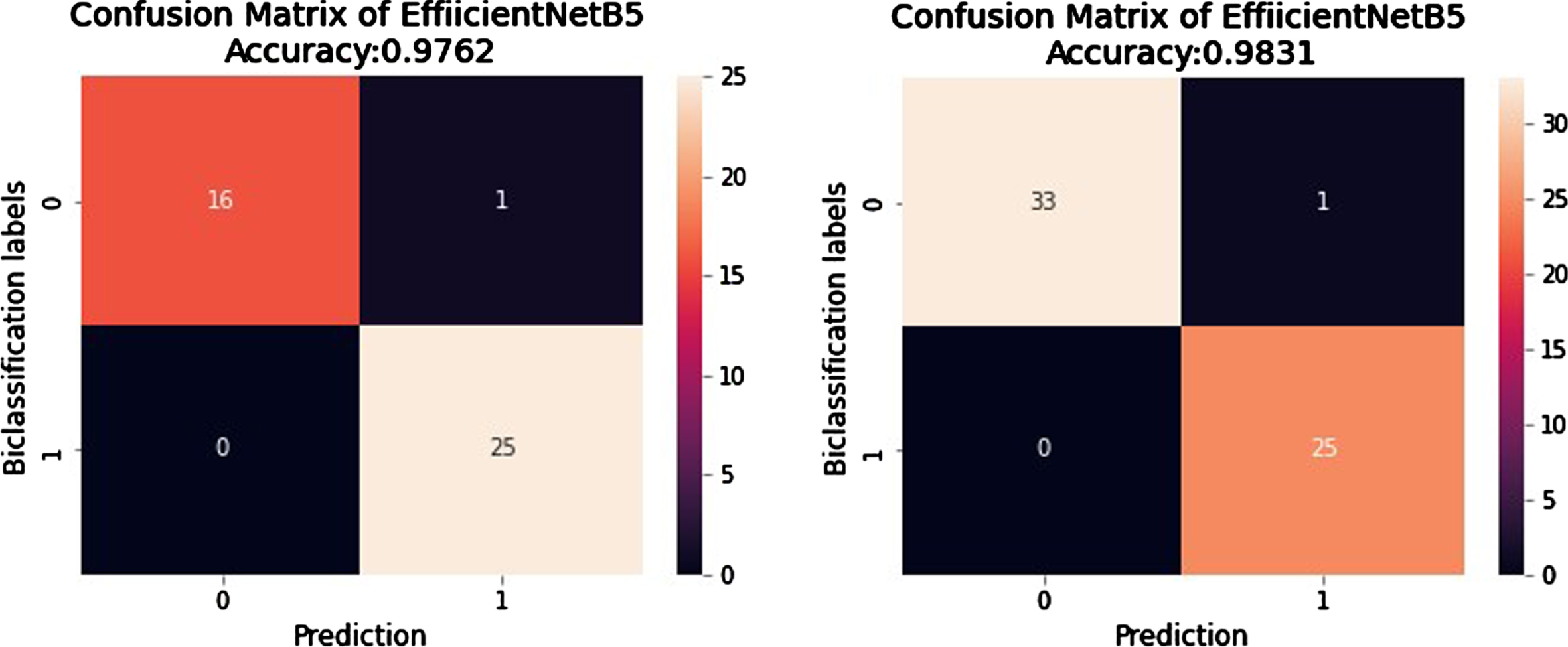 Confusion Matrix of predictions generated from EfficientNetB5 for External Validation.