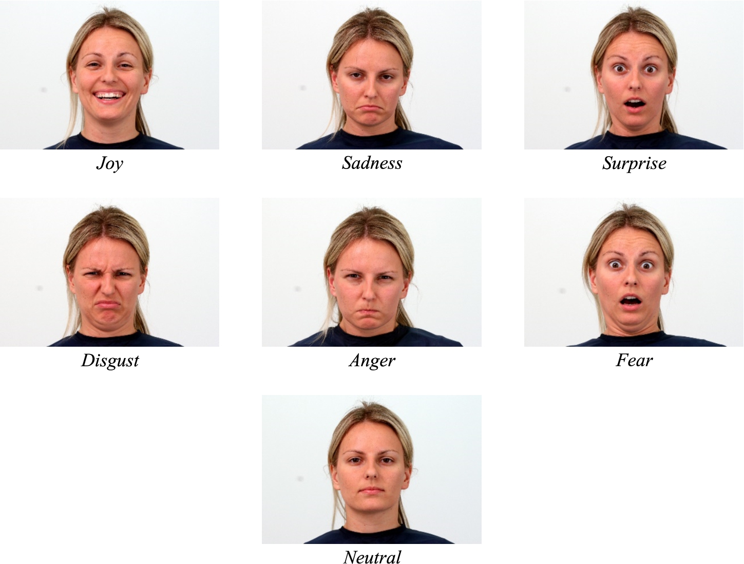 Examples of each basic emotion displayed by one woman (original pictures).