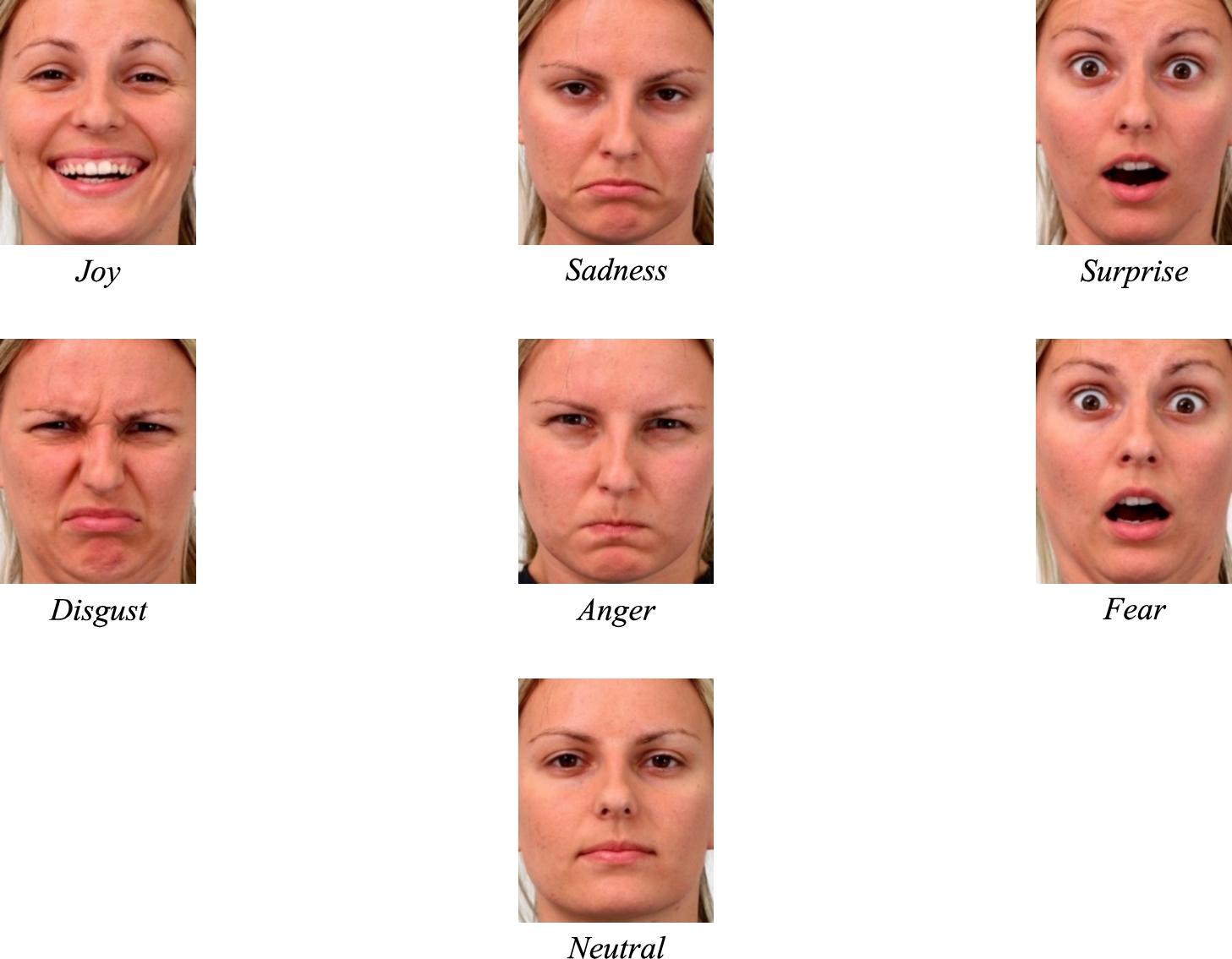 Examples of each basic emotion displayed by one woman (cropped and resized pictures).