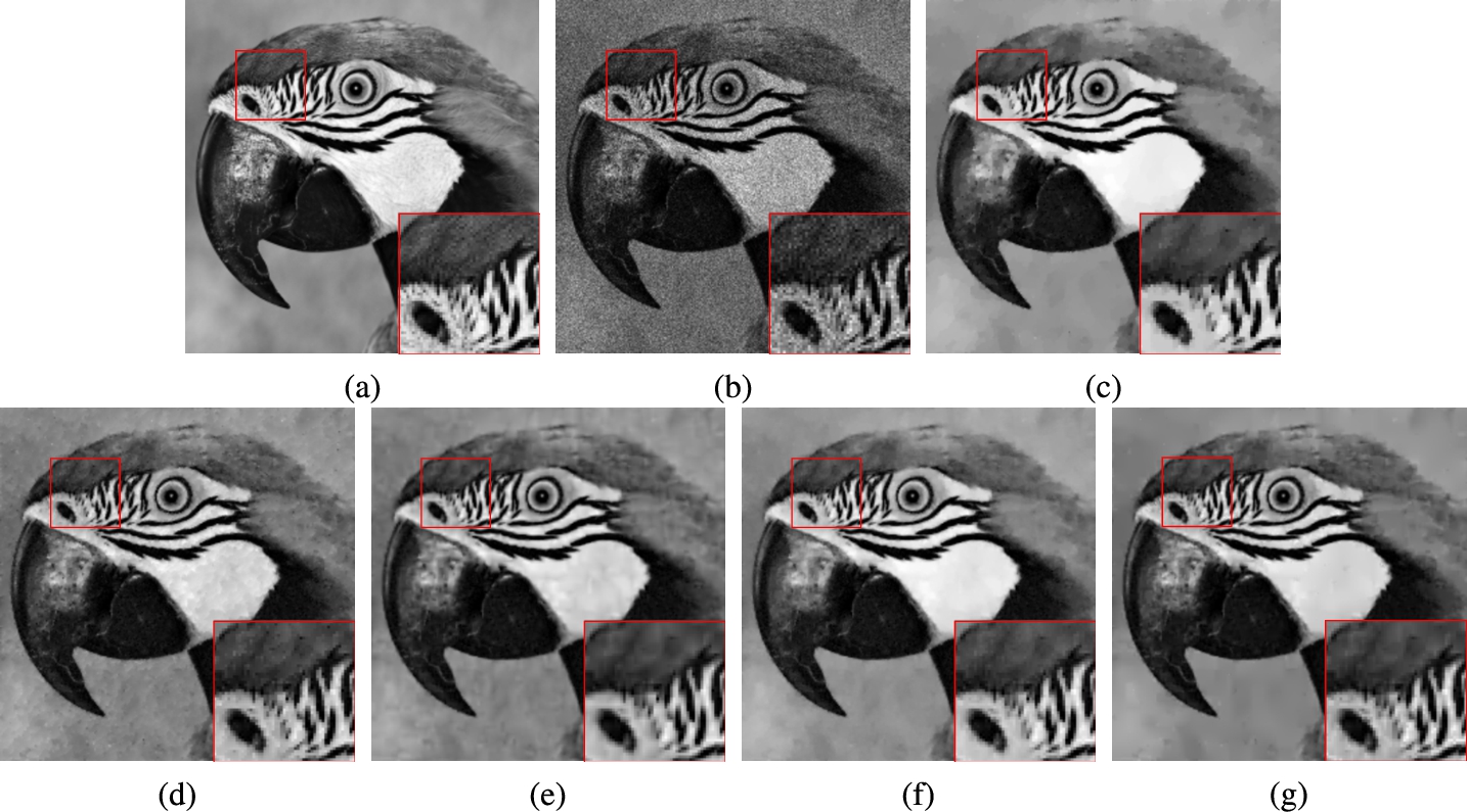 Restoration results for the image Bird (P=60) by using five methods. (a) original image, (b) noisy image, (c) TV, (d) FOTV, (e) HOTV, (f) OGS-TV, (g) our model.
