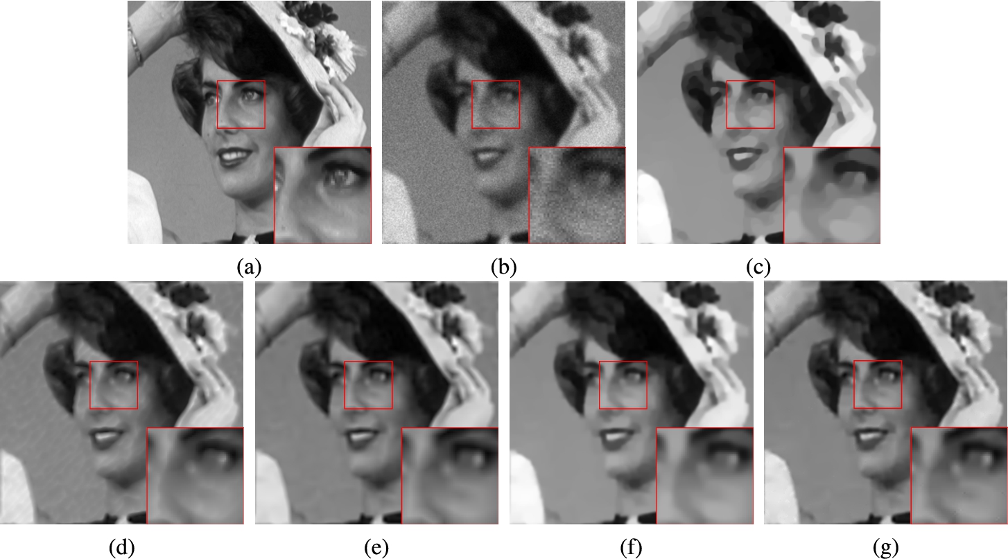 Restoration results for the image Lady (P=255) by using five methods. (a) original image, (b) degraded image, (c) TV, (d) FOTV, (e) HOTV, (f) OGS-TV, (g) our model.