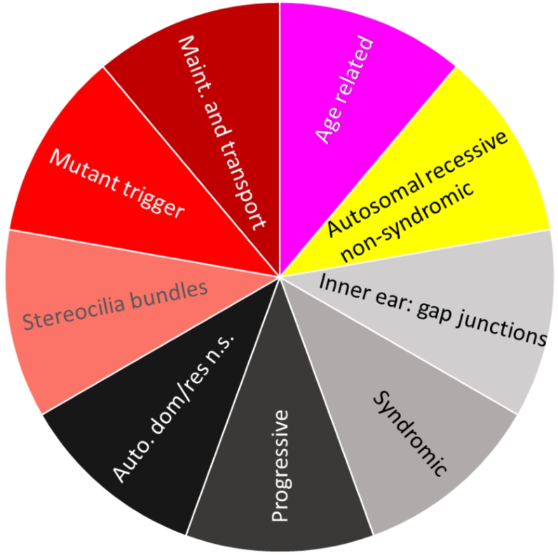 Biological description retrieved from ChatGPT for dataset hearingloss (GeneTestingRegistry, 2018). In a clockwise manner starting from red, there are four colours representing four clusters. Cluster No. 1 (magenta) describes age-related genes. Cluster No. 2 (yellow) describes genes associated to autosomal recessive non-syndromic hearing loss. Cluster No. 3 (black tones) describes genes associated with the formation of gap junctions in the inner ear, syndromic hearing loss, progressive hearing loss and autosomal dominant and autosomal recessive forms of non-syndromic hearing loss. Cluster No. 4 (red tones) decribes genes which are involved in the formation of stereocilia bundles or the maintenance of the epithelial integrity of the inner ear and in ion transport, actin cytoskeleton dynamics, protein synthesis, intracellular transport, and extracellular matrix formation in the inner ear. Mutations or variants in these genes can lead to hearing loss.