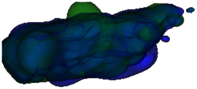 The initialisation, where the randomly deformed green muscle should return to its initial shape in blue.