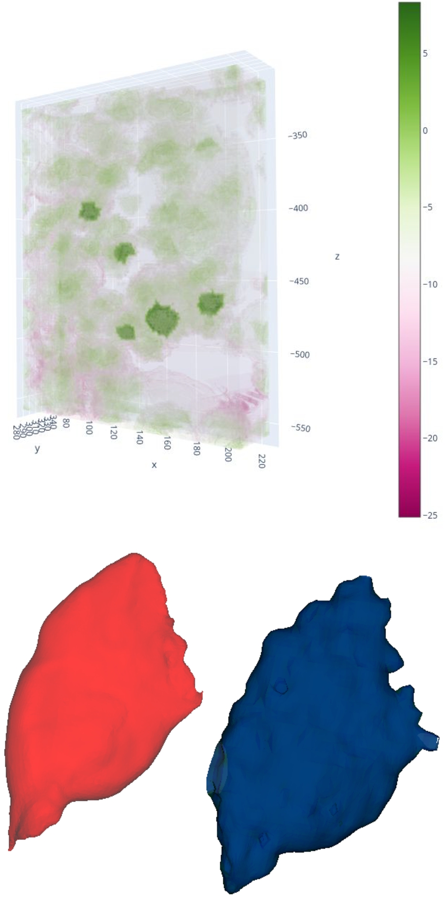 On the left, we have the curvature field, while on the right, we see the approximation result with a regularisation factor of 0.7. Although there is a preference for curvature fluctuation within the muscle, there is also substantial fluctuation outside. Decreasing the local minima outside the muscle volume results in a less precise approximation of the original red muscle to the blue one.