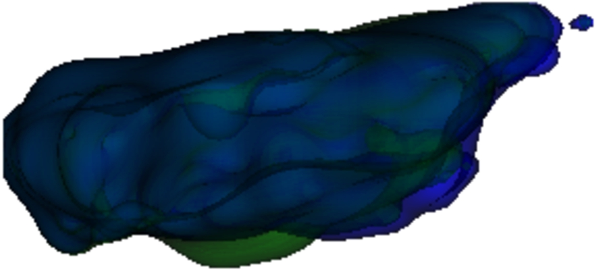 The initialisation of the simulation without the regularisation factor, where the randomly deformed green muscle should return to its initial shape in blue.