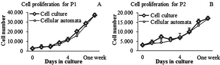 Cell proliferation curves for cell culture passages and CA. Representative sample for cell density. A) Cell proliferation for P1 vs CA. B) Cell proliferation for P2 vs CA.